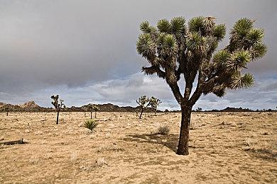 牧场物语厂商ARPG新作《芙蕾德利卡》9月发售